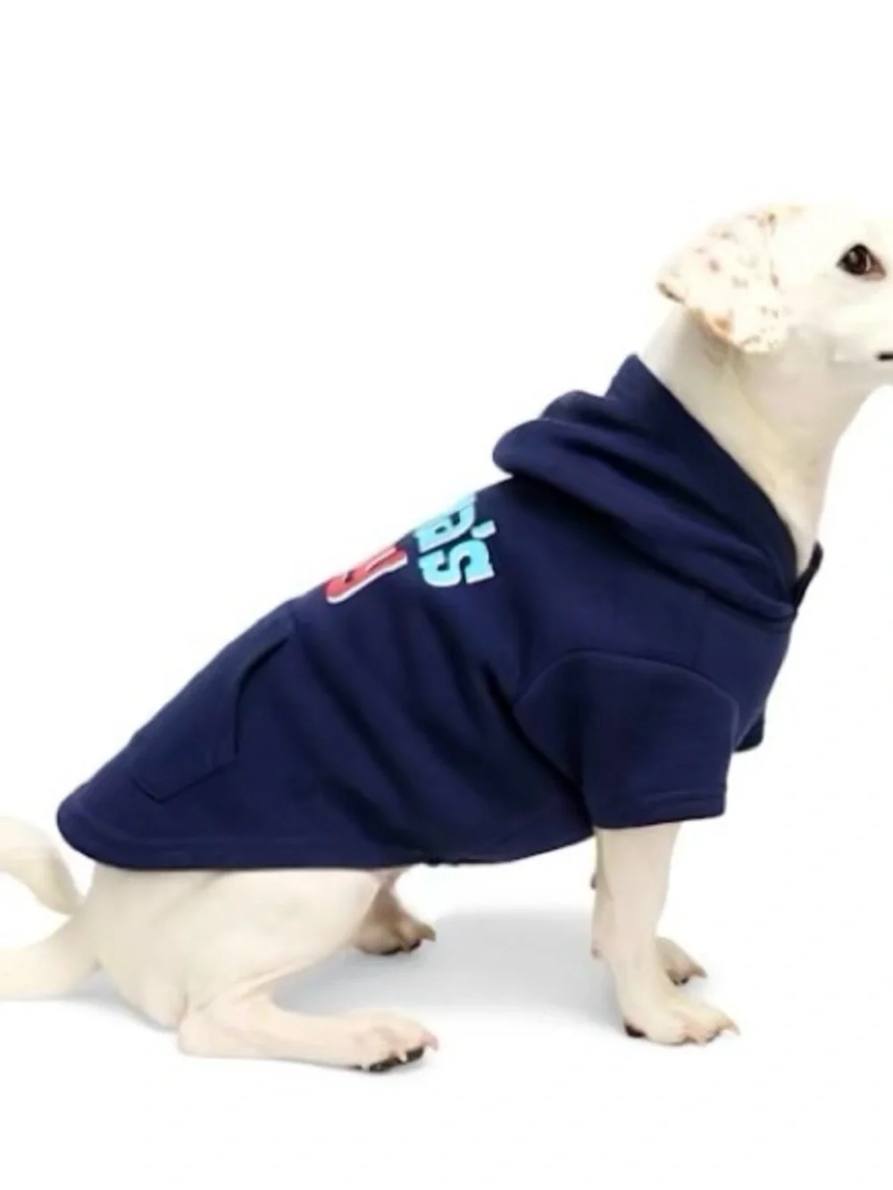 Youly Mama's Boy Navy Dog Hoodie